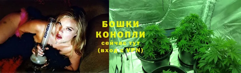 Конопля OG Kush  ссылка на мегу ССЫЛКА  Аша 